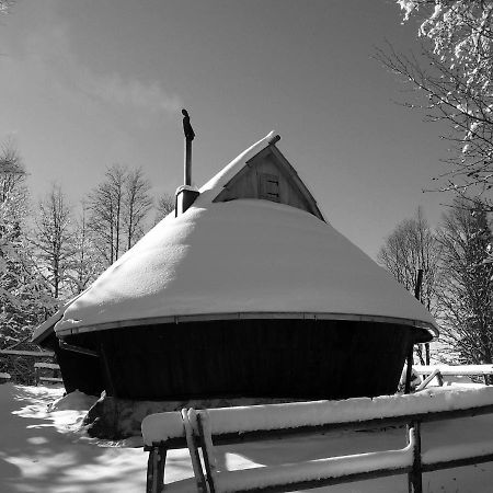 Chalet Kanja Velika Planina Stahovica Extérieur photo