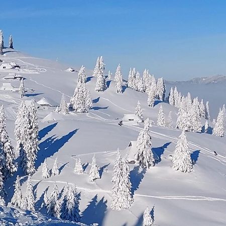 Chalet Kanja Velika Planina Stahovica Extérieur photo