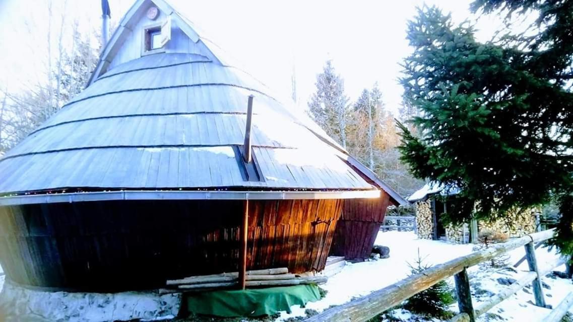 Chalet Kanja Velika Planina Stahovica Extérieur photo