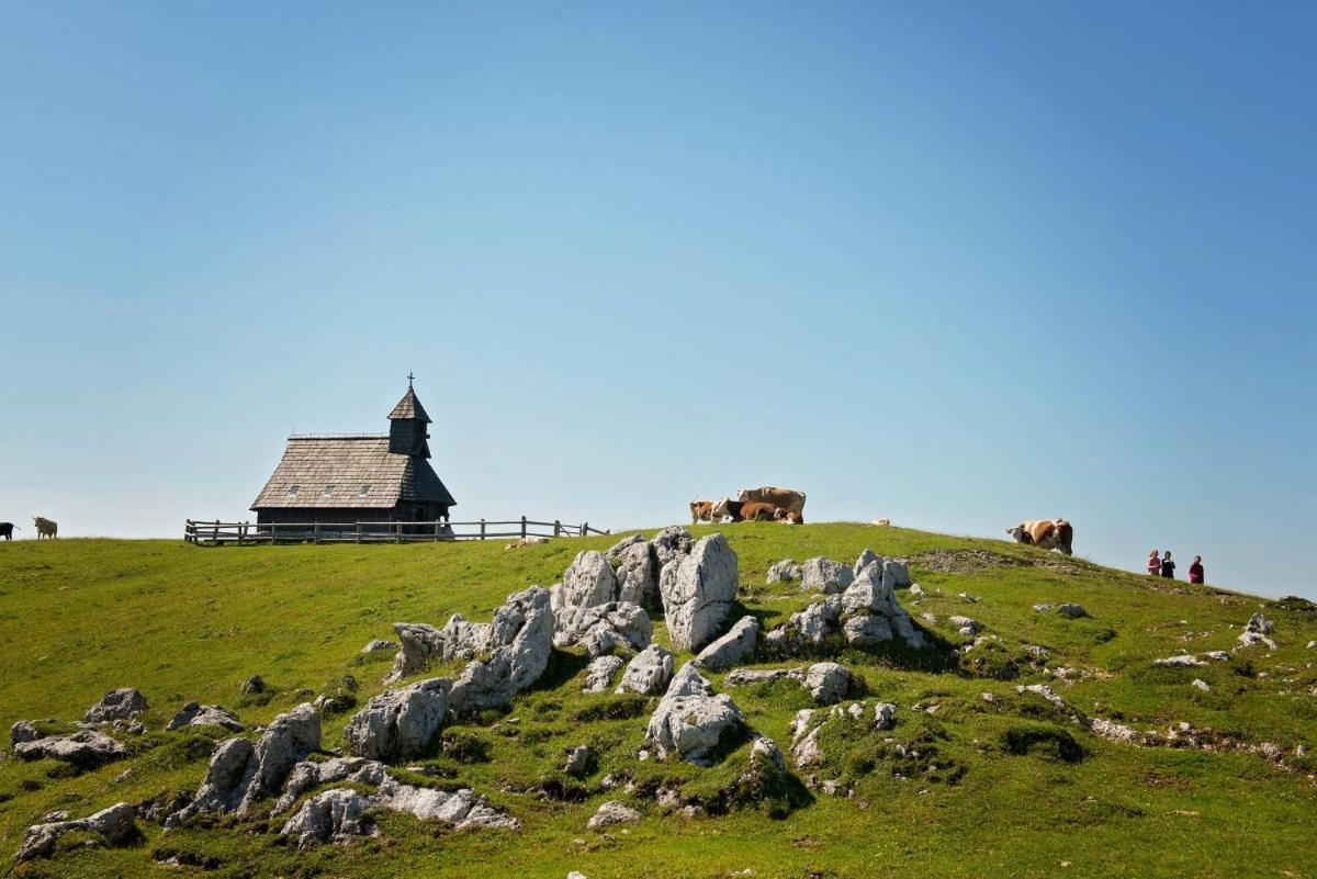 Chalet Kanja Velika Planina Stahovica Extérieur photo