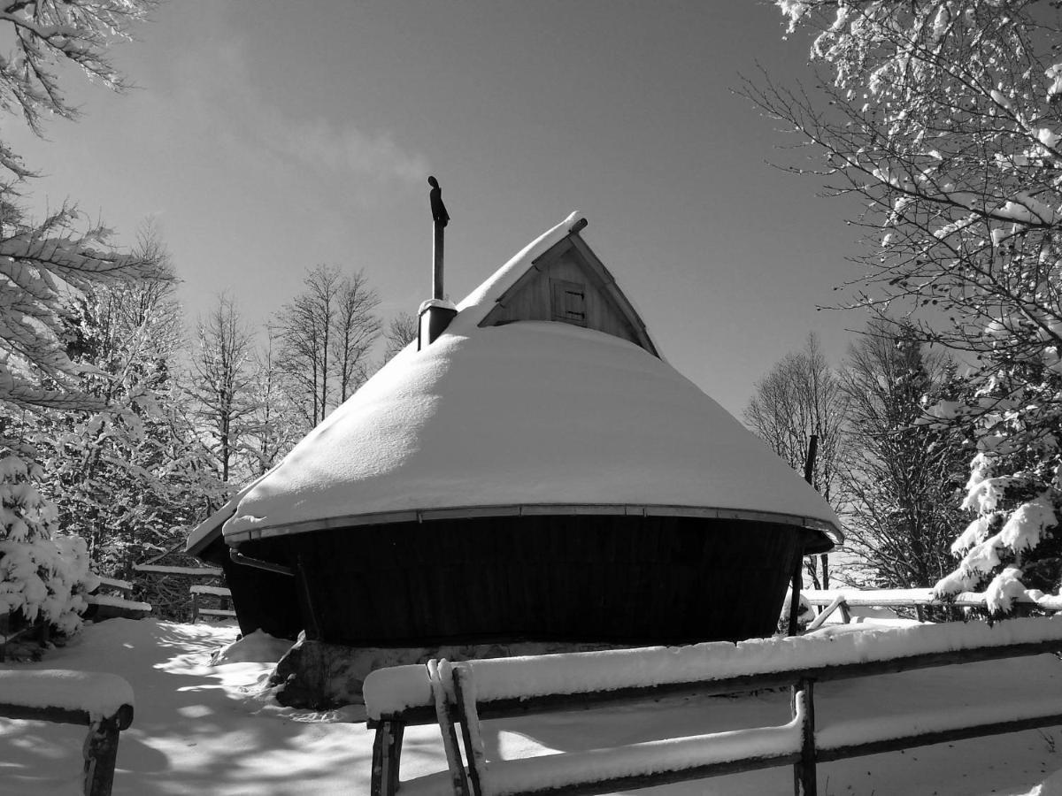 Chalet Kanja Velika Planina Stahovica Extérieur photo